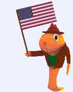 Picture of gumshoe gooper with flag